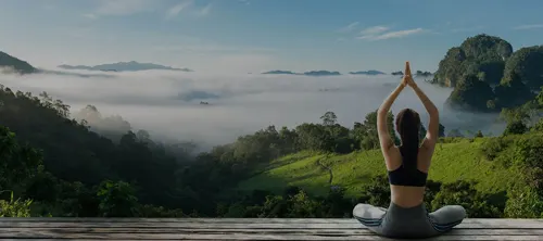 Detox retreat bushland